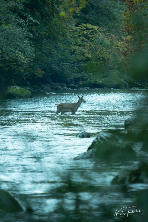 La traversée
